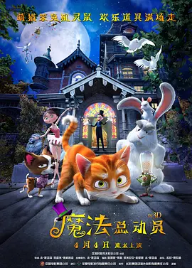 精品视频入口