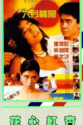 一区二区高清视频在线观看