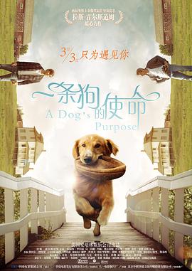 在线免费h