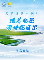 国内精品视频成人一区二区