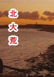 操女人app
