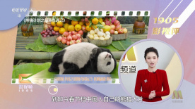 xxxx18hd